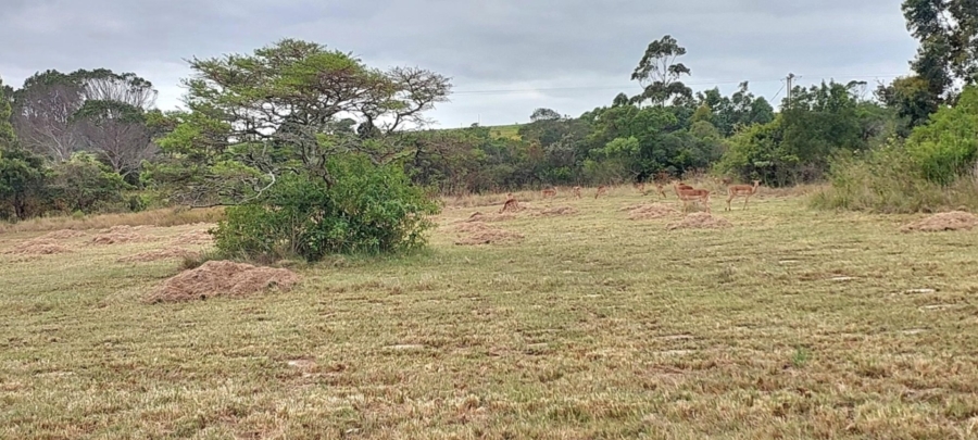 0 Bedroom Property for Sale in Kwelera Eastern Cape